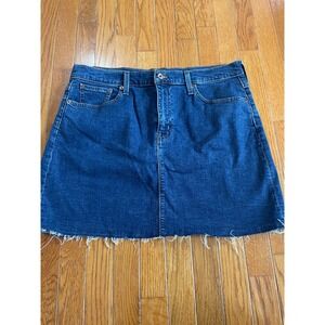 J Crew Mercantile Skirt Womens Size 12 Blue‎ Cut Off A-Line Denim Jean Zip Fly